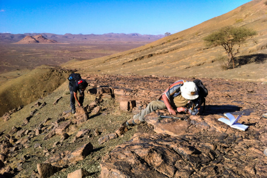 Naleziště zkamenělin v Maroku odhalilo unikátně zachovalé zkameněliny živočichů