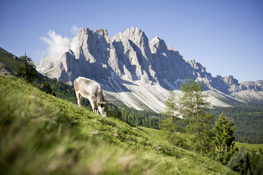 Villnöss je udržitelným přírodním klenotem jihotyrolských Dolomitů