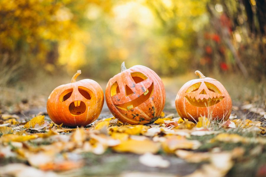 Halloweenské oslavy se blíží. Přinášíme několik tipů, kam vyrazit s dětmi